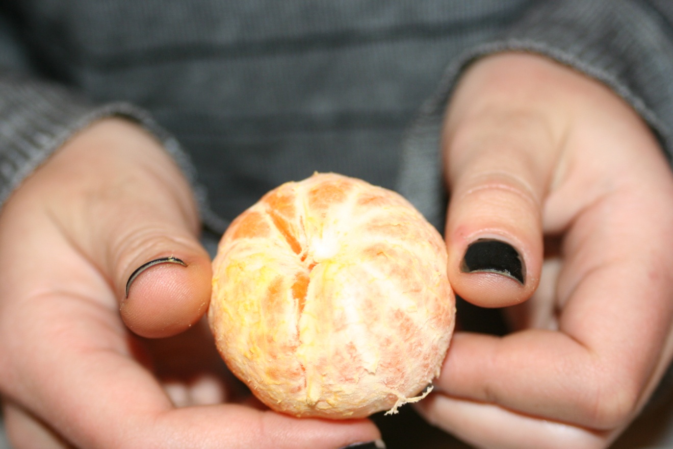 a pair of hands holding a peeled orange