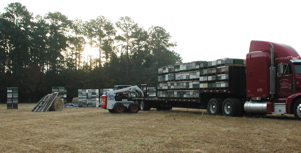 truck loaded with honey bee hives in a field