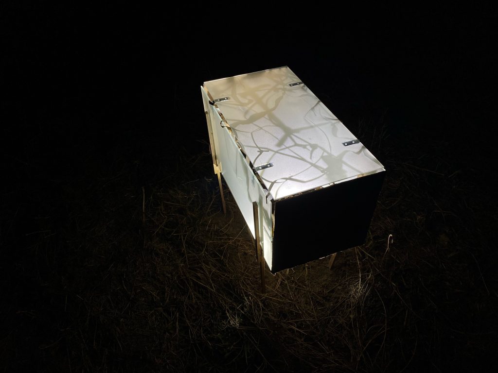 the artist&#039;s &#039;trough&#039; in situ and lit up at night