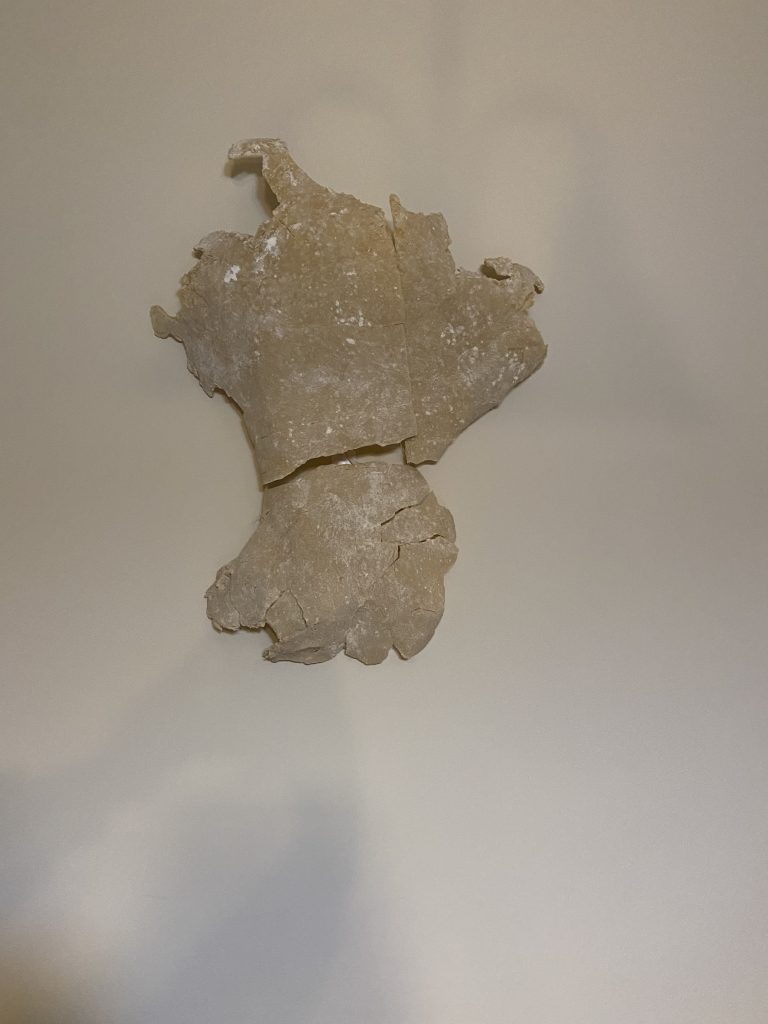 pieces of dried dough on a wall from the project &quot;From Head to Dough&quot;