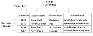 Database Table showing fields(columns) and records (rows)