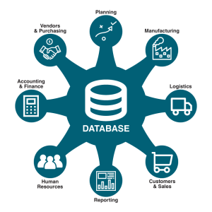 Enterprise Resource Planning System