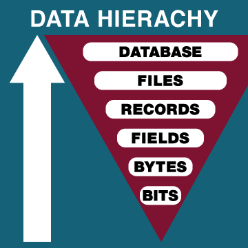 A Data Hierarchy is a series of ordered groupings in a system, beginning with the smallest unit to the largest from bits to a database.