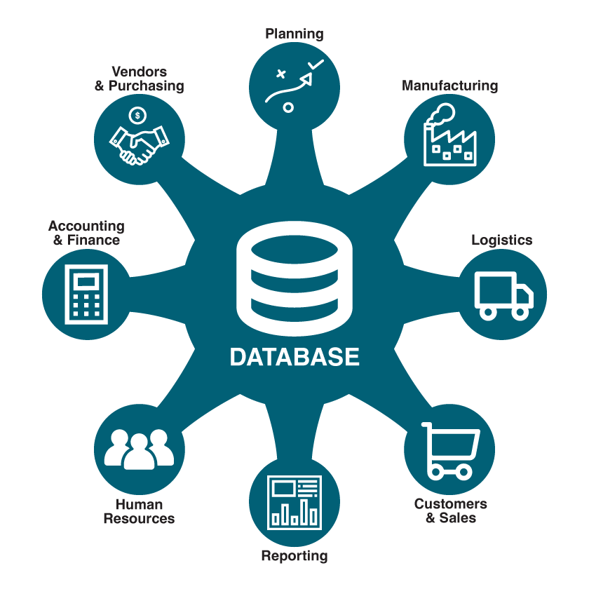 Enterprise Resource Planning System includes modules on: planning, manufacturing, logistics, customers, reporting, HR, accounting, and purchasing.