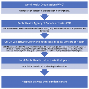 a graphic representation of this cascade of responsibility, again from the OHA toolkit
