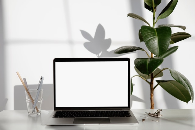 Laptop on a desk with pens in a glass and a plant