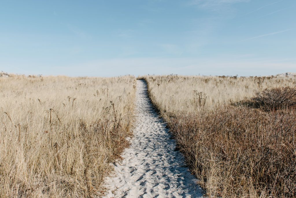 A sand path on the beach