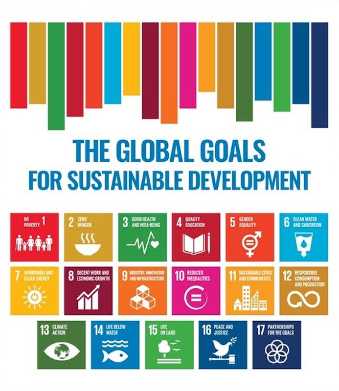 Cover image for Introduction to the Sustainable Development Goals (SDGs)