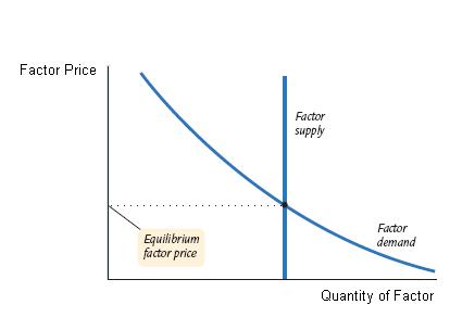 The vertical axis is factor price and the horizontal axis is quantity of factor. The factor demand slopes downward from left to right. The factor supply is fixed, denoted by a vertical straight line. The equilibrium factor price is identified where the factor supply and factor demand intersect.