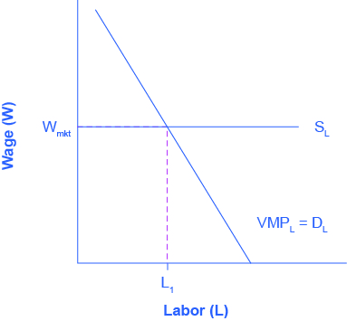The graph has a vertical axis Wage (W) and horizontal axis Labour (L). SL is a horizontal supply curve for labor occurring at point Wmkt. Another line slopes downward from left to right intersecting SL at point L1. Wmkt = VMPL