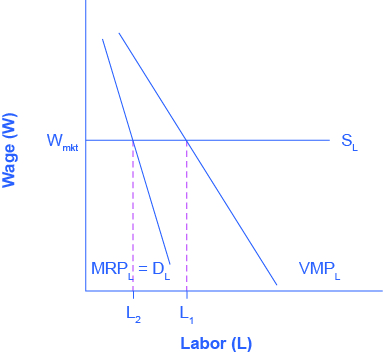 The graph has a vertical axis Wage (W) and horizontal axis Labour (L). SL is a horizontal supply curve for labor occurring at point Wmkt. There are two lines; VMPL : Line 1 occurs furthest to the left, sloping downward from left to right intersecting SL at point L1 ; MRPL = DL : Line 2 occurs furthest to the right, sloping sharply down from left to right intersecting SL at point L2.