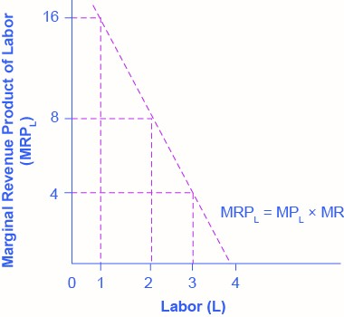 The graph has a vertical axis Marginal Revenue Product of Labour (MRPL) and horizontal axis Labour (L). Point plotted on the graph show downward trending line from left to right. See Table Marginal Revenue Product of Labour for data. MRPL = MPL x MR