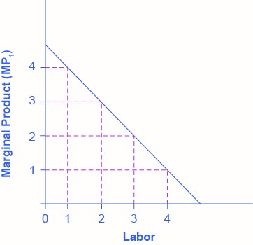 The graph has a vertical axis Marginal Product of Labour (MP1) and horizontal axis Labour. Line plotted with data slopes downward from left to right. Data shown in table Value of the Marginal Product of Labor.