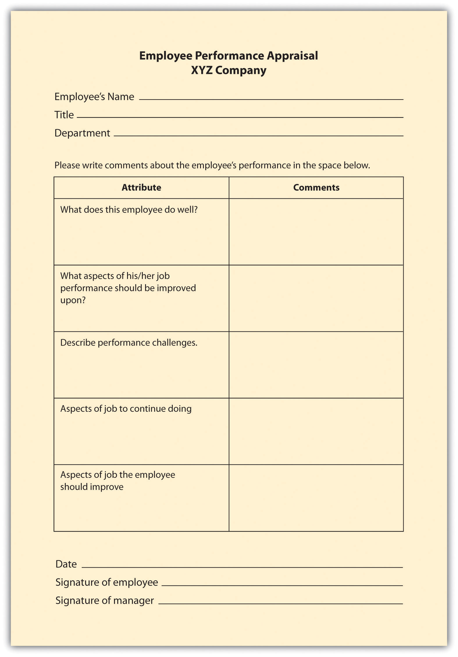 Example of Essay Rating