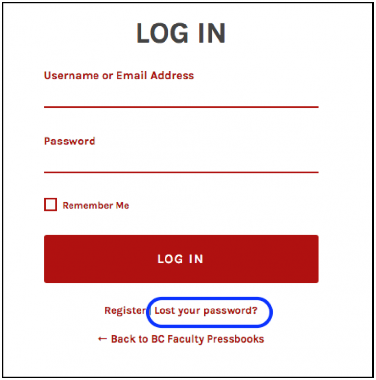 one password log in