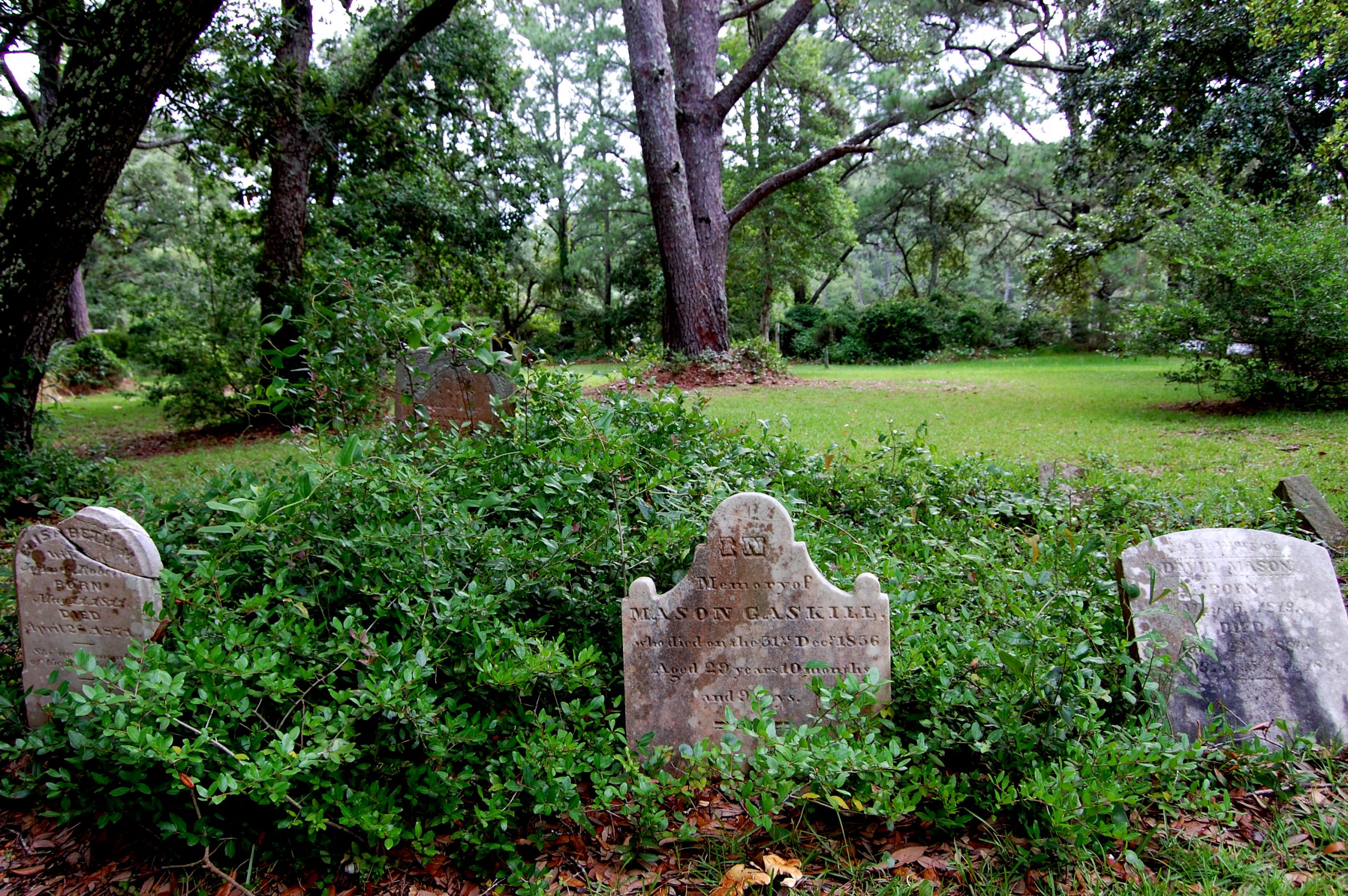 Backyard family cemetery with four gravestones amongst shrubs. There are threes and grass in the background.