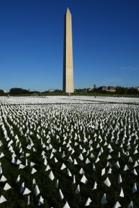 Many small white flags on sticks embedded in large grass field by the Washington monument.