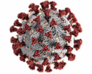 high resolution image of SARS-CoV-2 virus showing proteins protruding from the viral membrane.