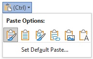 Paste Options image