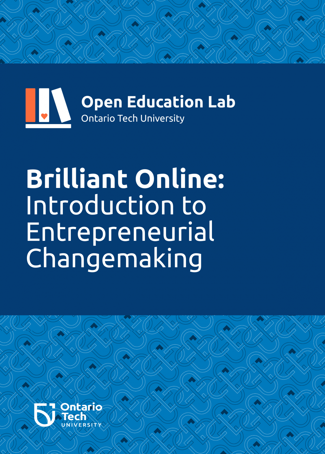 Cover image for Brilliant Online: Introduction to Entrepreneurial Changemaking
