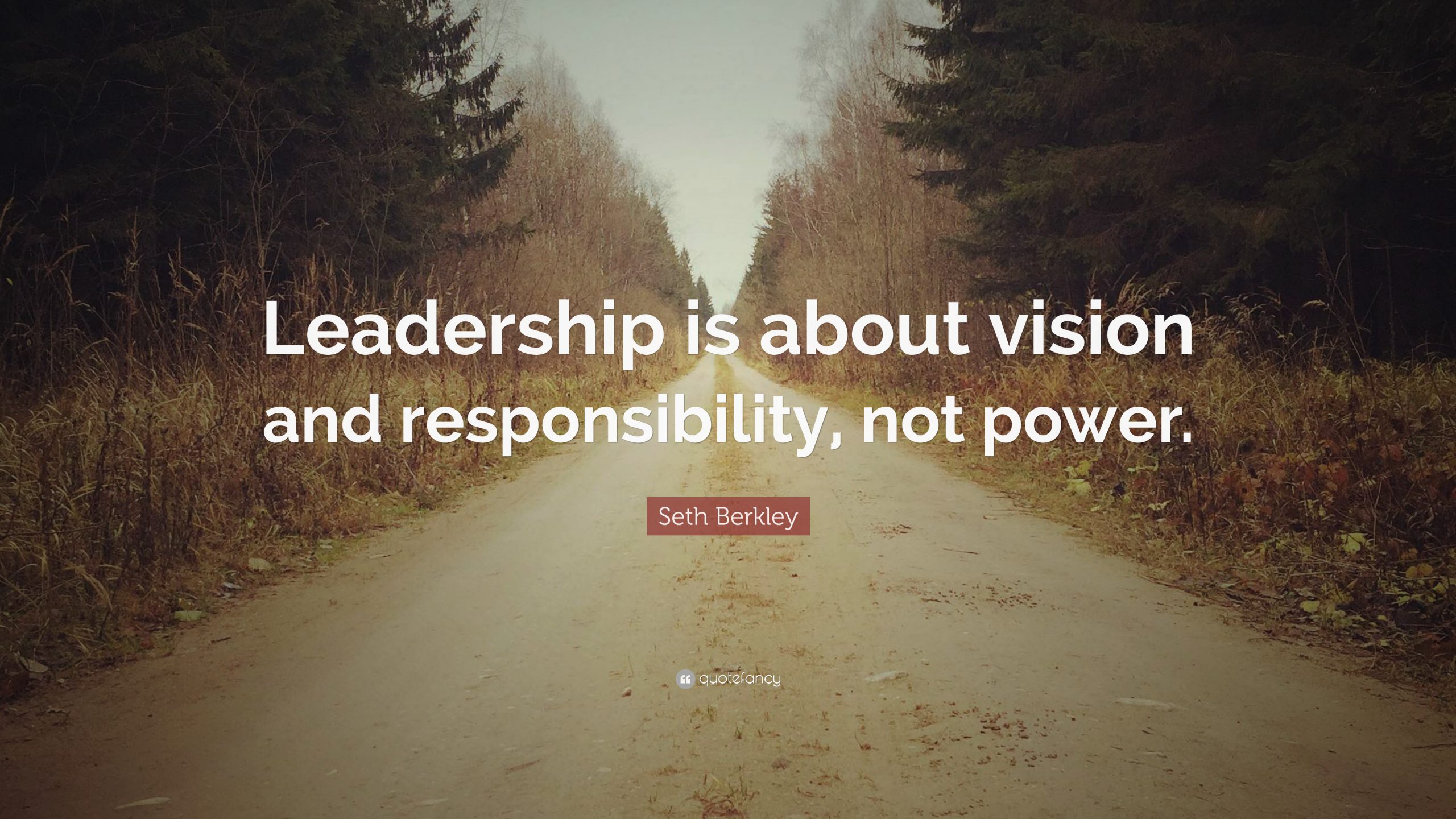 leadership is about vision and responsibility not power - Seth Berkley