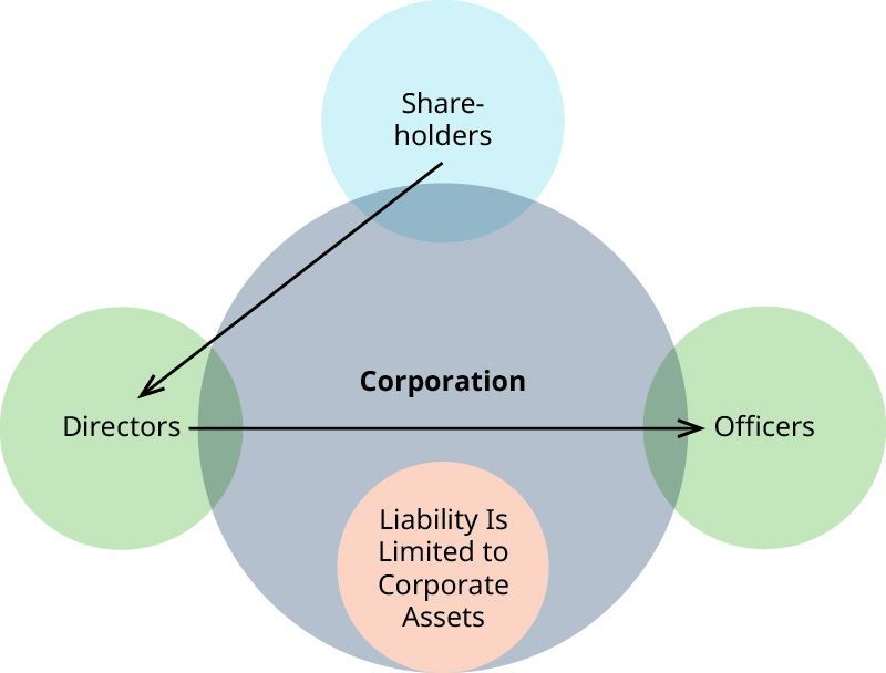 Agency Issues: Shareholders and Corporate Boards | Principles of ...