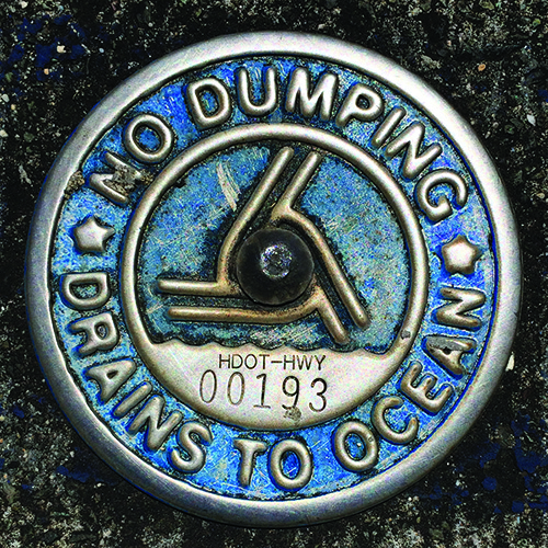 A sign that reads “No Dumping, Drains to Ocean”.