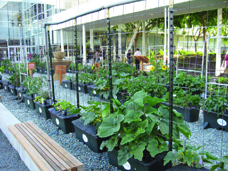 This photo shows a garden next to a building with benches and walkways.