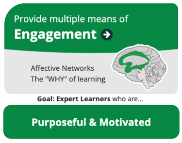 Provide multiple means of Engagement Affective Networks The