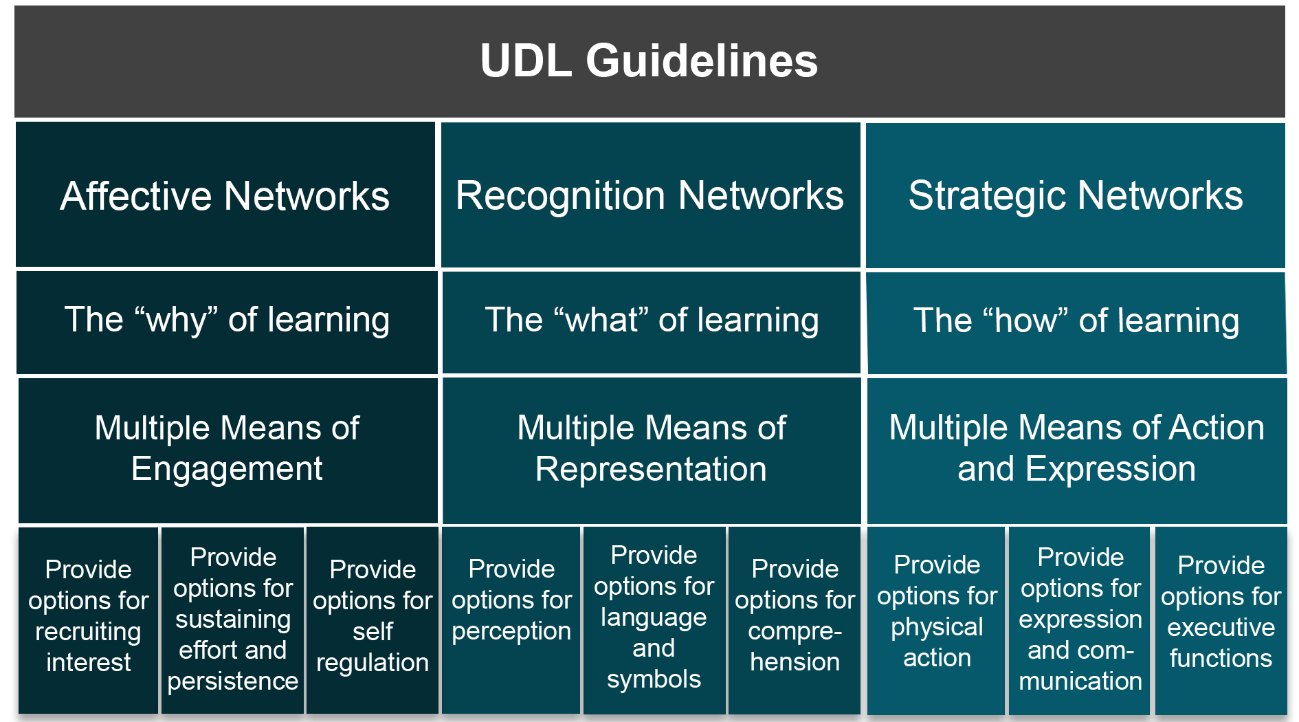 the-universal-design-for-learning-udl-guidelines-describe-ways-teachers