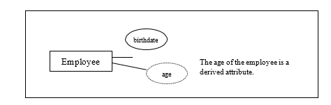 Derived Characteristics