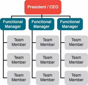 Functional Organization Structure as described in text above