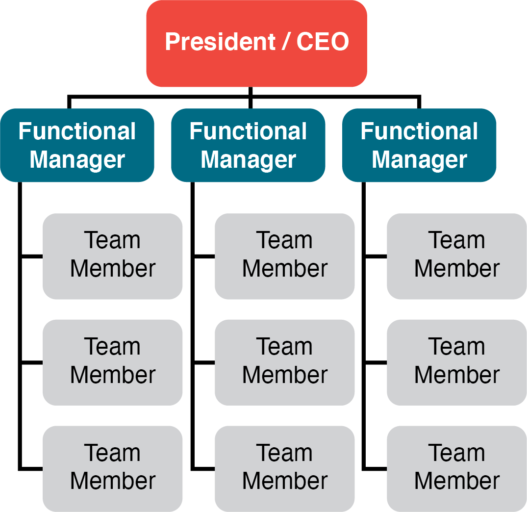 Functional Organizational structure. Структура Sno. Функционал диспетчера. Functional Organizational structure PMBOK. Manager functions