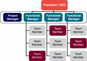 A “Project Manager” in a functional organization as explained above