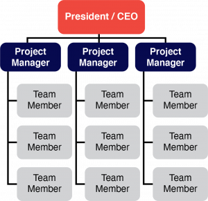 Projectized Organizations as explained above