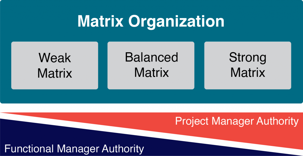 Matrix Organization as explained below