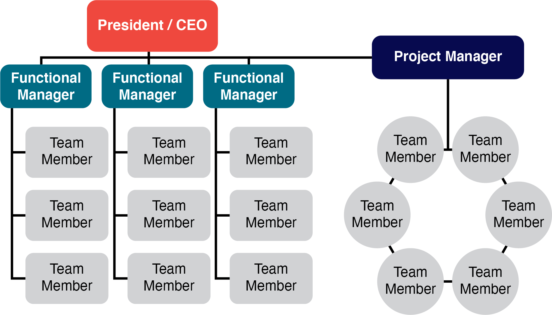 Dedicated Project Team as explained in text