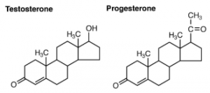 Testosterone and Progesterone images for examples