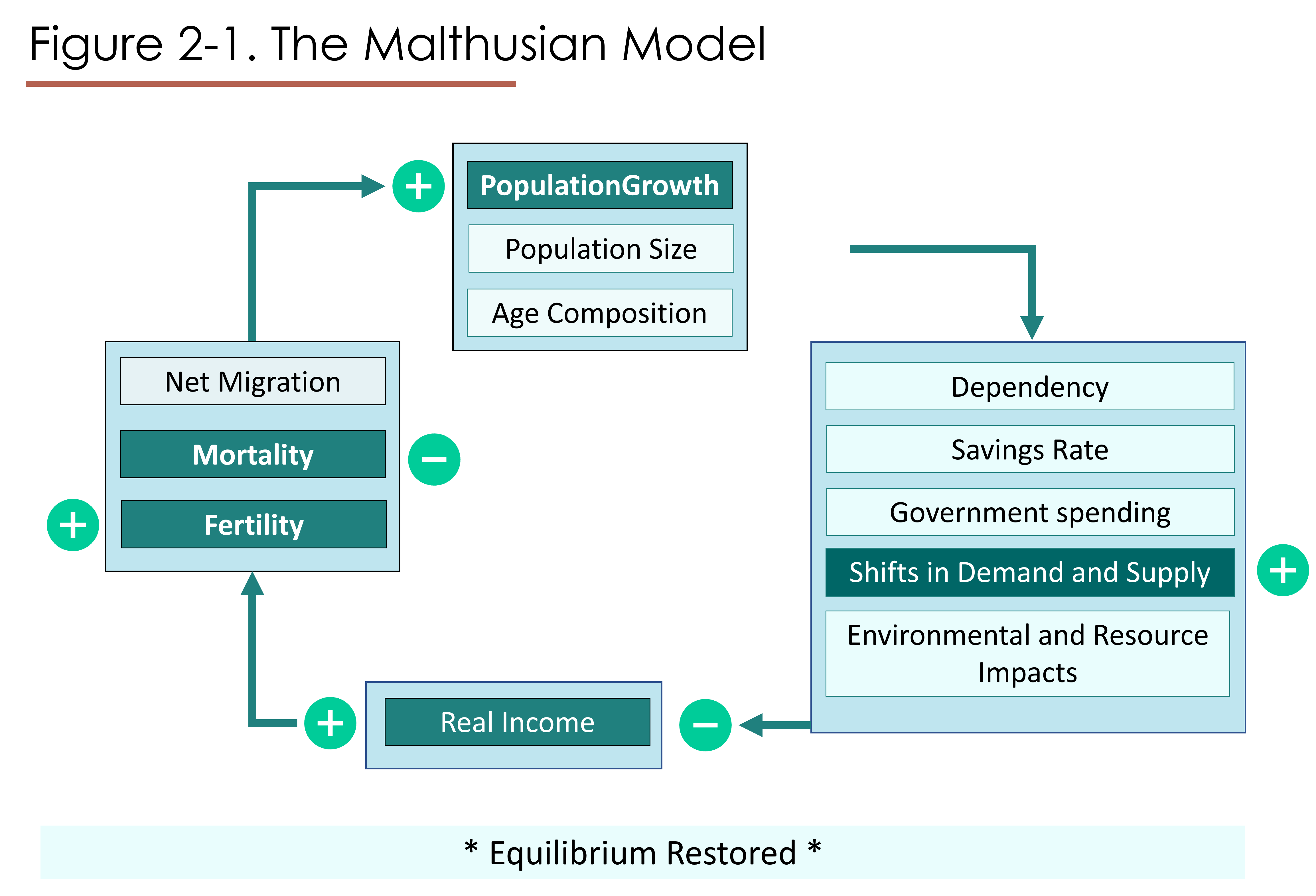 This is identical to Figure 1, except that detail has been added. Real Income is shown to be rising for some unknown reason, with the presence of a "+" sign beside it. Then we see a "+" sign beside "Fertility" and a negative sign beside Mortality. Then we see a plus sign beside population growth at twelve o'clock. At three o'clock we see that there are changes in demand and supply. Demand has increased but Supply is not able to increase. This causes Real Income Per Person (at six o'clock) to fall, undoing the initial increase.