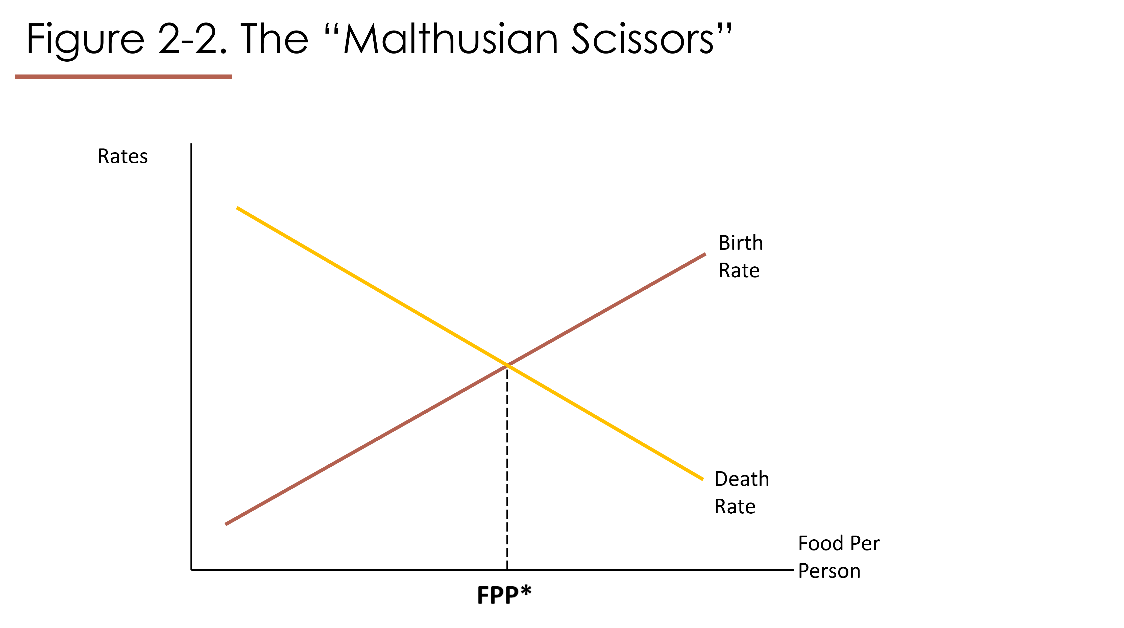 This graph has Food Per Person on the horizontal axis. It has a birth rate line sloping upwards, and a death rate line sloping downwards. The two lines cross at a level of Food Per Person equal to FPP*.