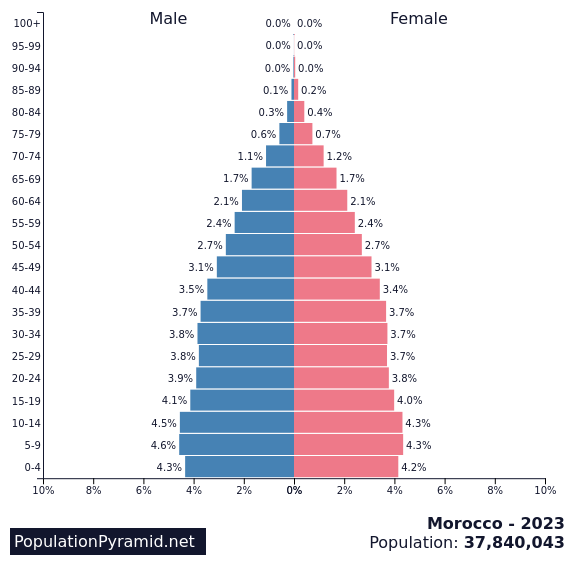 This population pyramid looks like the top 60% of a long leaf. It doesn't taper off much until age 40. The tip is very pointy.