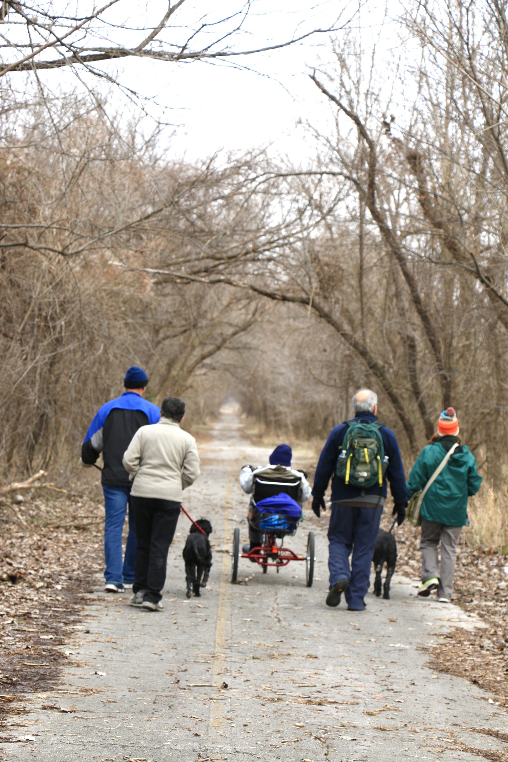 A group of people walking on a wooded trail, with someone on scooter, and dog.