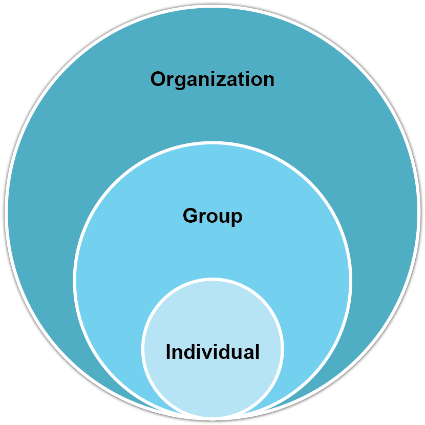Fig. 1.1 - OB spans topics related from the individual to the organization.