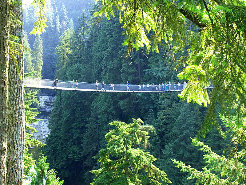 Capilano suspension bridge from a distance with people walking across