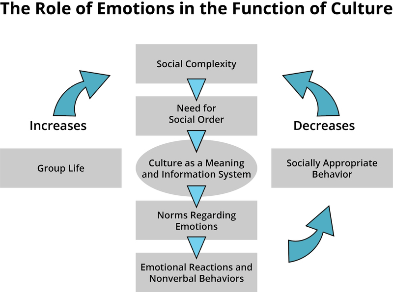 Graphic explaining the role of emotions in culture comparing group life and socially appropriate behavior by increase and decrease