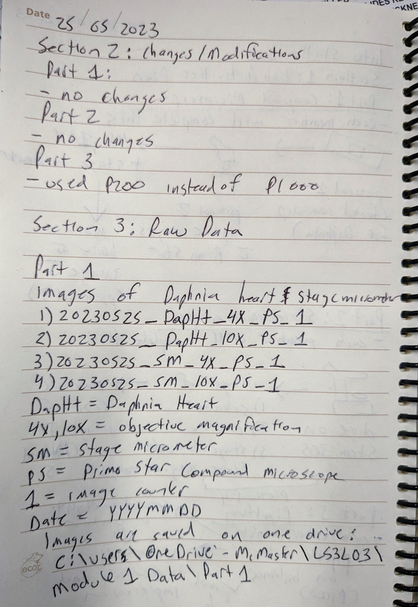 Lab Notebook Instructions – LIFESCI 3L03: Laboratory Methods in Life ...