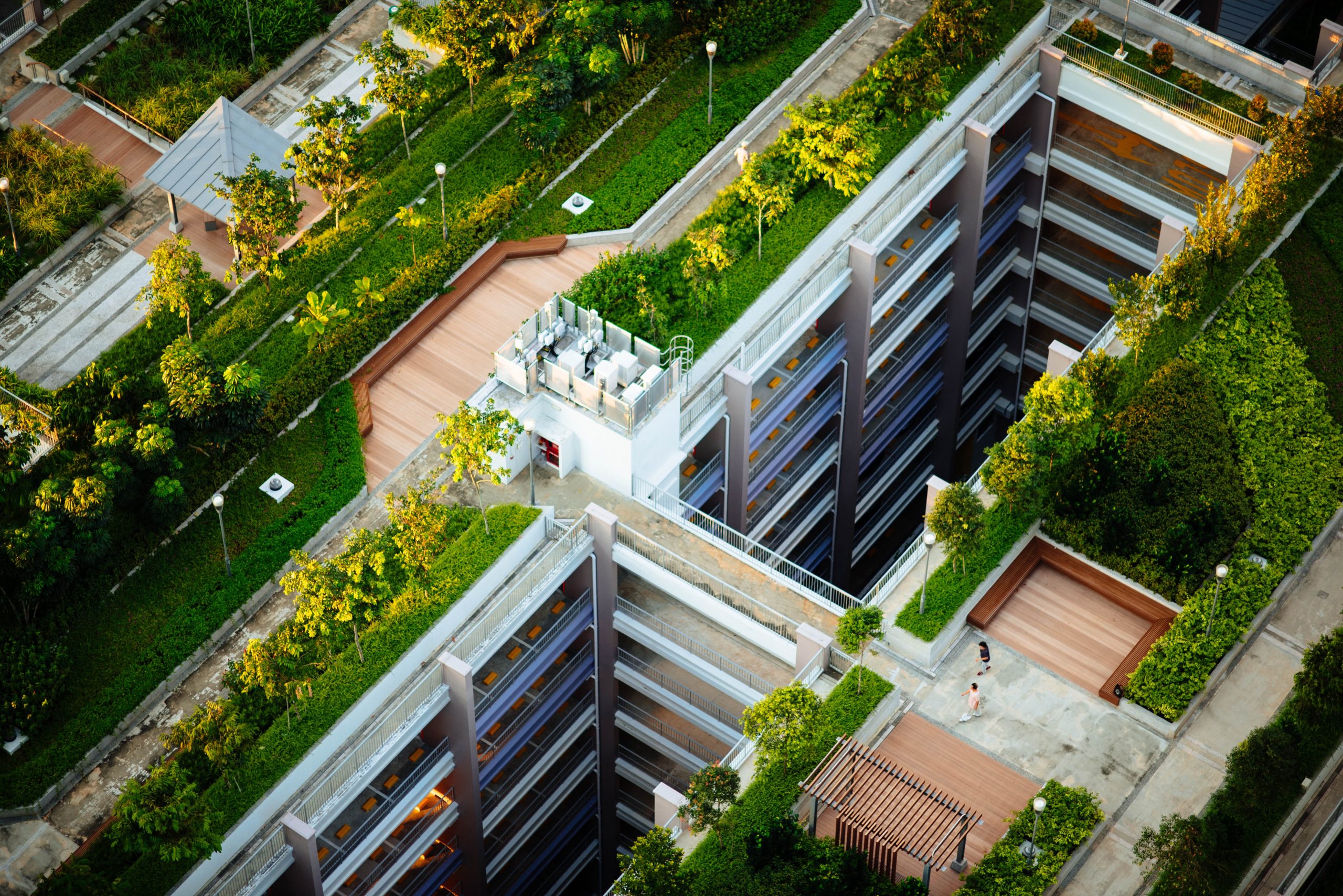 An image of Green Roof Buildings