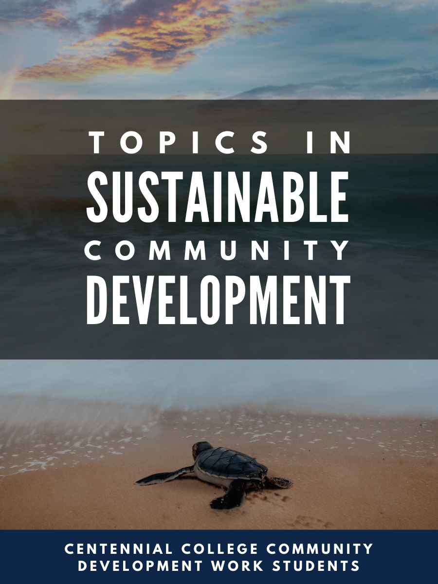 Cover image for Topics in Sustainable Community Development