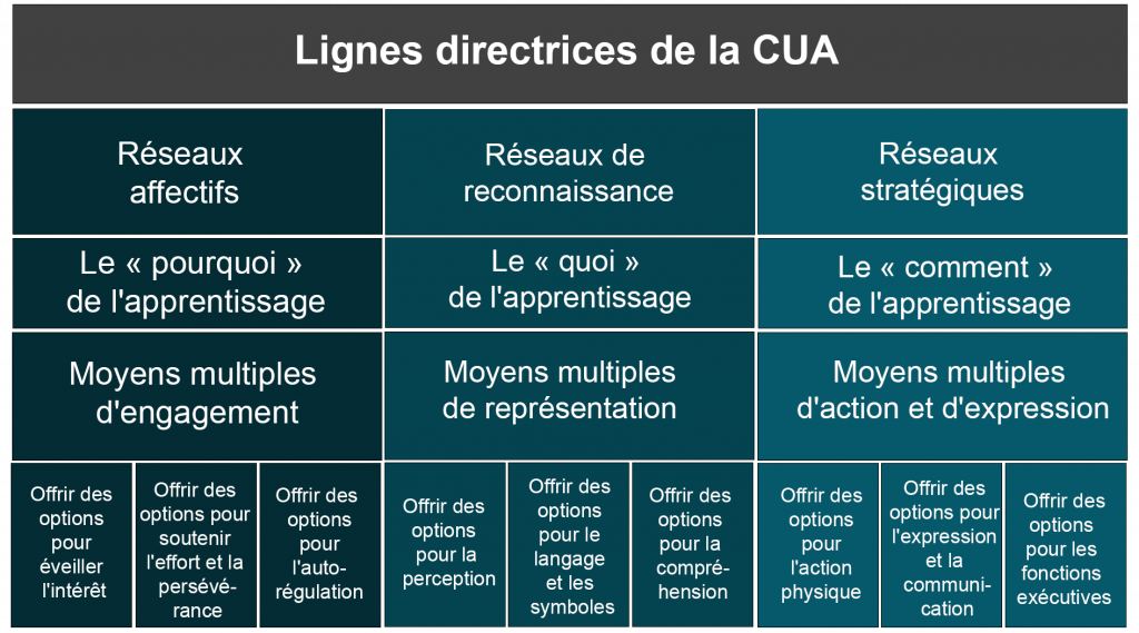 6.1: Revue De La Conception Universelle De L’apprentissage – Conception ...