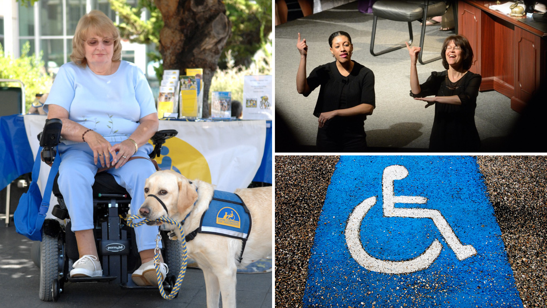 Femme en fauteuil roulant avec un chien-guide, deux interprètes en langage des signes signant et une place de stationnement pour personnes handicapées